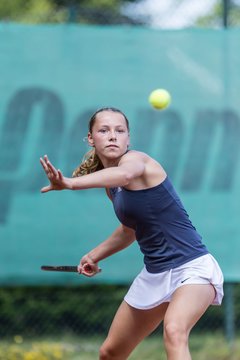 Victoria Brand 253 - Klippeldon